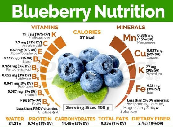 
                  
                    Frozen Blueberries
                  
                
