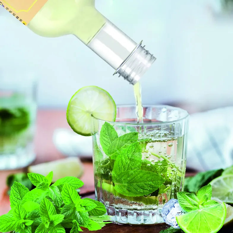 Mocktail Combo – Fruitales Nimboo Shikanji, Mint Lemonade & Masala