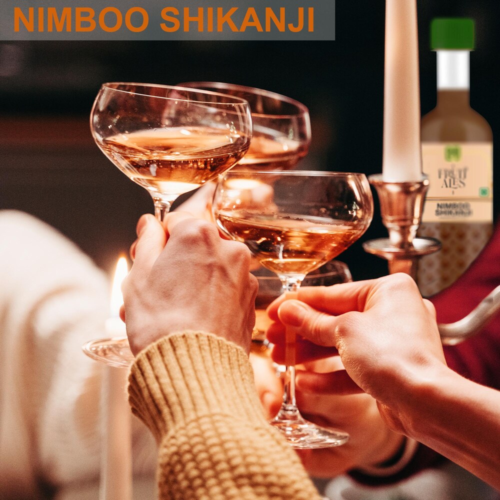 
                  
                    Fruitales Nimboo Shikanji 300ml
                  
                