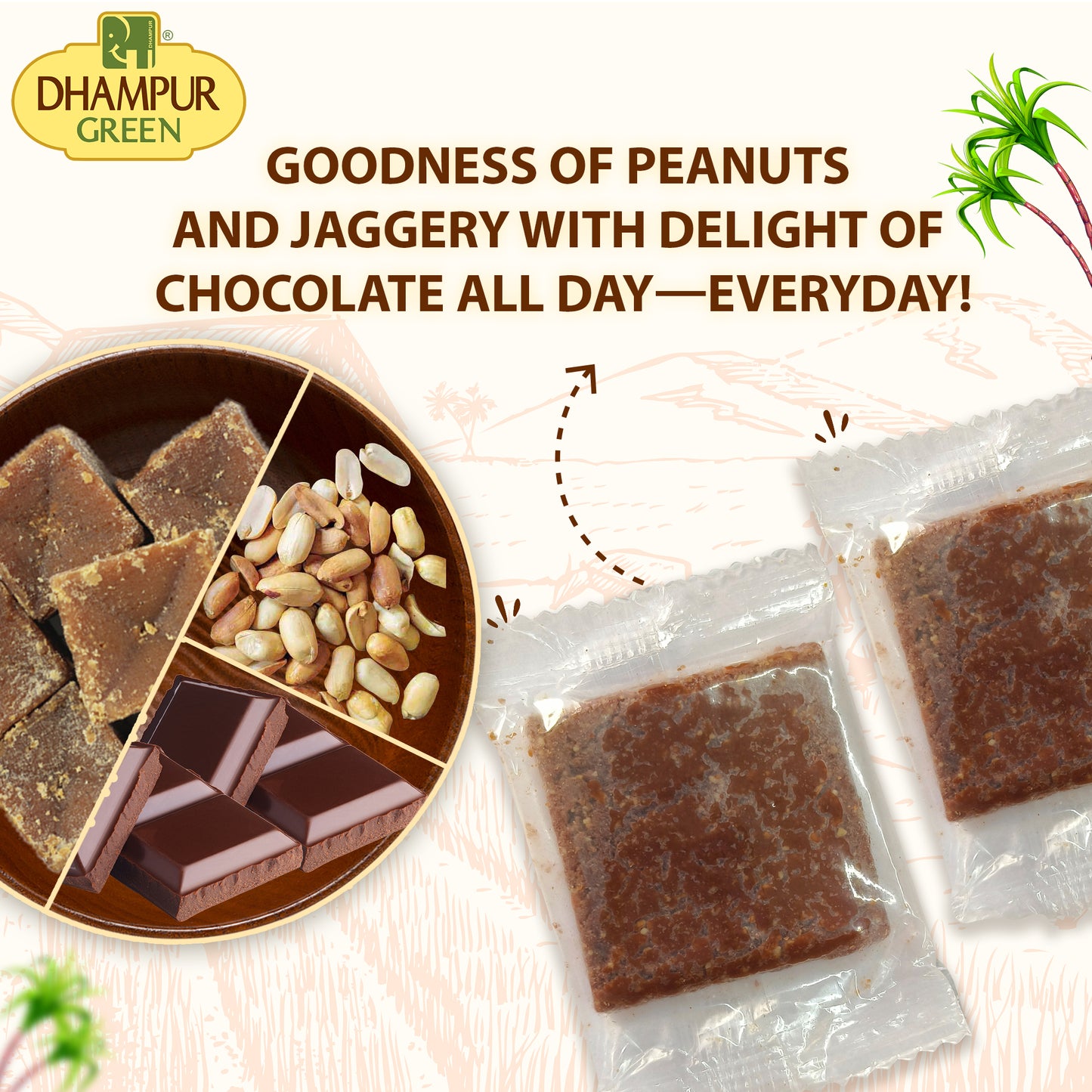 
                  
                    CHOCOLATE PEANUT CHIKKI 500 G
                  
                