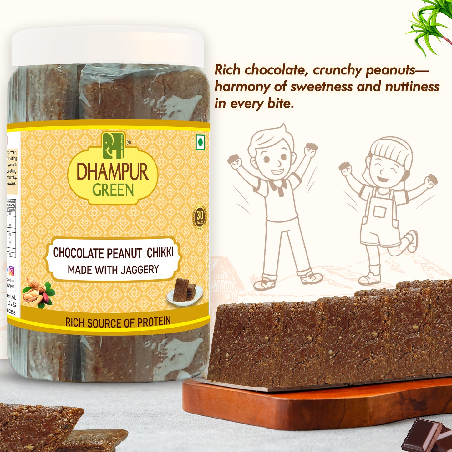 
                  
                    CHOCOLATE PEANUT CHIKKI 500 G
                  
                