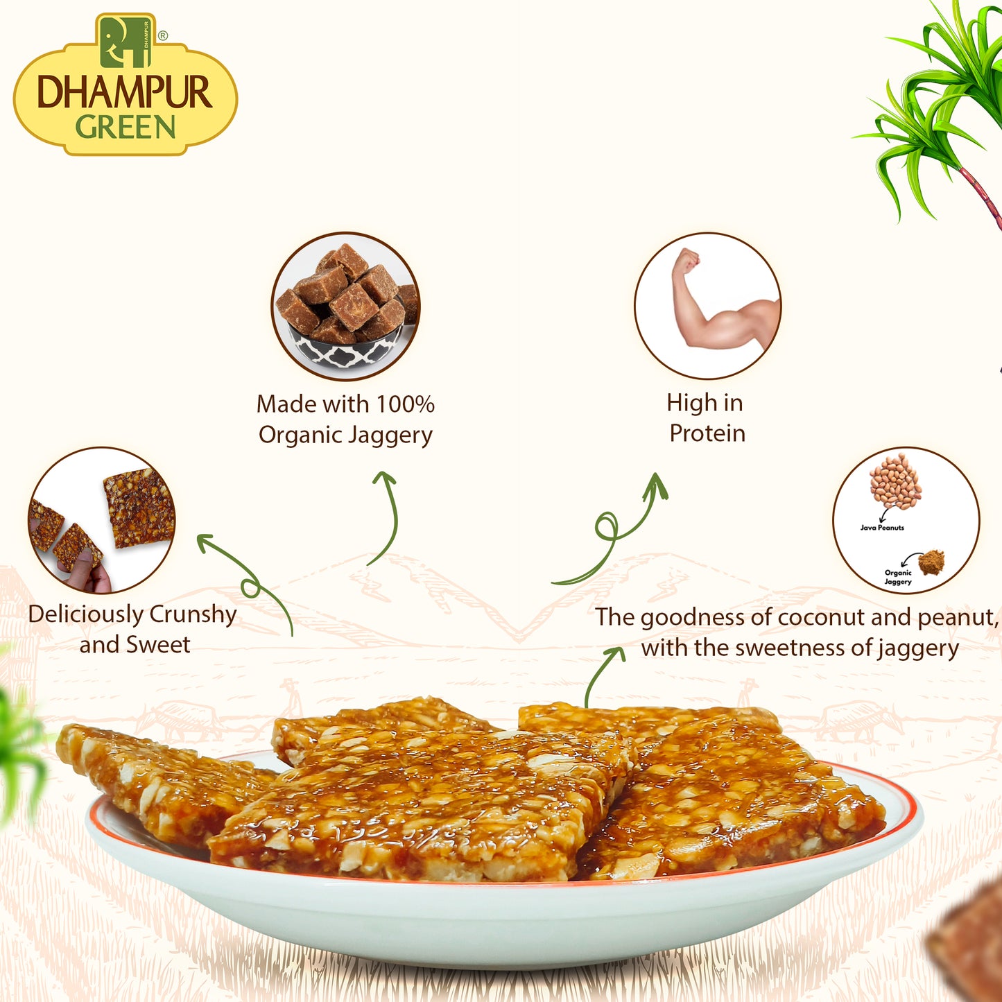 
                  
                    PEANUT CHIKKI (Gur Patti ) -500g
                  
                