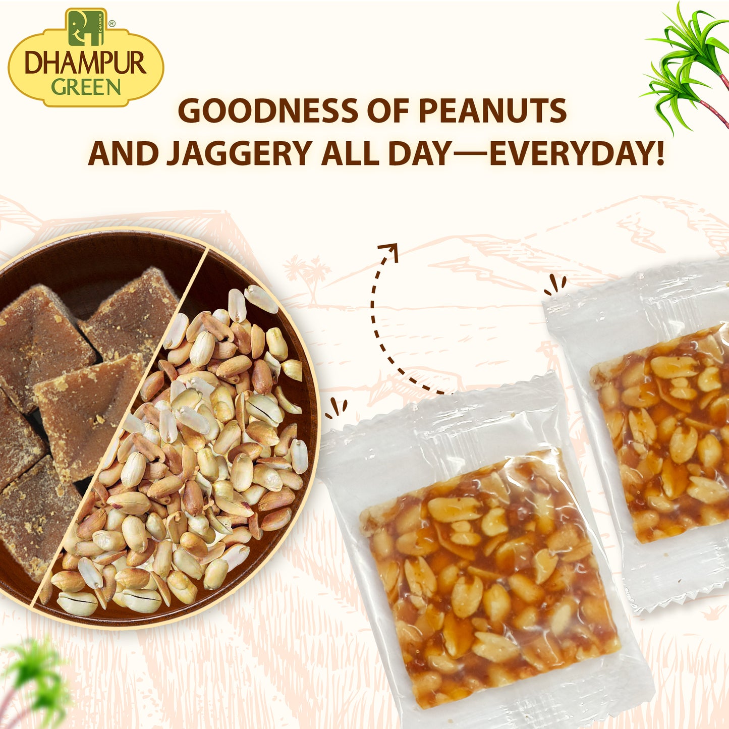 
                  
                    PEANUT CHIKKI (Gur Patti ) -500g
                  
                