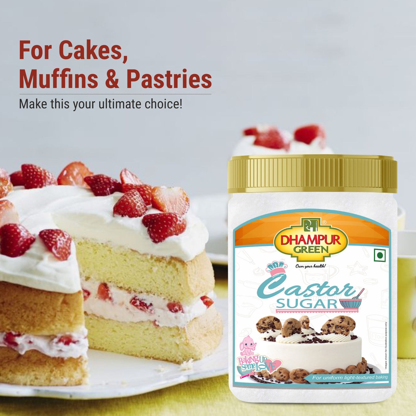 
                  
                    buy castor sugar online
                  
                