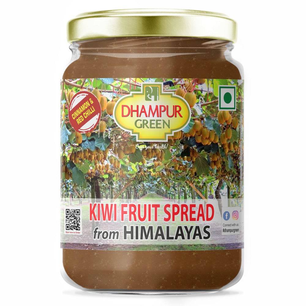 Kiwi Spicy Spread From Himalayas 300g
